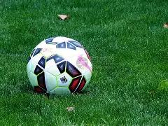 金槐王树,B体育,B体育官网,B体育官网,B,Sports,足球直播,篮球赛事,体育高清,NBA直播