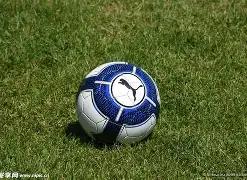 尼克斯末段,逆袭击败马,刺夺冠,B体育官网,B,Sports,足球直播,篮球赛事,体育高清,NBA直播