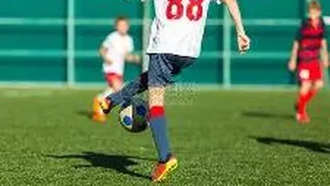 林武青岛调研经济运行：强调履行经济大市责任，确保完成年度发展目标