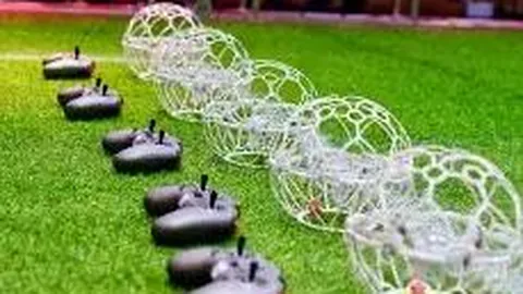 B体育 资讯 084851 o1s